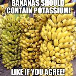 Bananas | BANANAS SHOULD CONTAIN POTASSIUM! LIKE IF YOU AGREE! | image tagged in bananas | made w/ Imgflip meme maker