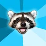 Joke Racoon meme