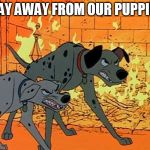 Stay Away From Our Puppies! | STAY AWAY FROM OUR PUPPIES! | image tagged in 101 dalmatians,memes,disney,dalmatians,dogs,angry | made w/ Imgflip meme maker
