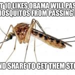 Mosquito | IF WE GET 10 LIKES OBAMA WILL PASS A LAW TO STOP MOSQUITOS FROM PASSING DISEASES! LIKE AND SHARE TO GET THEM STOPPED! | image tagged in mosquito | made w/ Imgflip meme maker