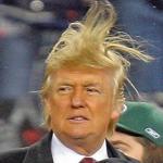 Donald Trump Hair meme