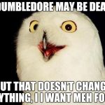 Orly Owl | DUMBLEDORE MAY BE DEAD; BUT THAT DOESN'T CHANGE ANYTHING, I I WANT MEH FOOD! | image tagged in orly owl | made w/ Imgflip meme maker