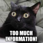 startled cat | INFORMATION! TOO MUCH | image tagged in startled cat | made w/ Imgflip meme maker