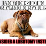 Cute Mastiff | IF YOU'RE CONSIDERING TO BUY ME TO BOOST YOUR EGO; CONSIDER A LOBOTOMY INSTEAD. | image tagged in cute mastiff | made w/ Imgflip meme maker