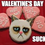 Valentine's Day Sucks!  | VALENTINE'S DAY; SUCKS! | image tagged in grumpy cymbalta antidepressants cat | made w/ Imgflip meme maker