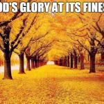 Autumn trees | GOD'S GLORY AT ITS FINEST | image tagged in autumn trees | made w/ Imgflip meme maker