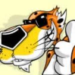 Chester cheetah approves