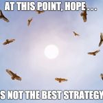 Vultures | AT THIS POINT, HOPE . . . IS NOT THE BEST STRATEGY. | image tagged in vultures | made w/ Imgflip meme maker