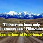 Wisdom | "There are no facts, only interpretations." F Nietzsche; "Wisdom - is born of Experience" dft2 | image tagged in mission mtns,nietzsche,no facts | made w/ Imgflip meme maker