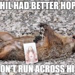 Dead groundhog | PHIL HAD BETTER HOPE; I DON'T RUN ACROSS HIM | image tagged in dead groundhog | made w/ Imgflip meme maker