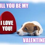 valentinesdog | WILL YOU BE MY; I LOVE YOU! VALENTINE? | image tagged in valentinesdog | made w/ Imgflip meme maker