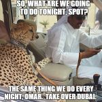 Pinky and the Brain
 | SO, WHAT ARE WE GOING TO DO TONIGHT, SPOT? THE SAME THING WE DO EVERY NIGHT, OMAR.  TAKE OVER DUBAI. | image tagged in pinky and the brain | made w/ Imgflip meme maker