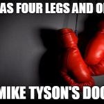 boxing | WHAT HAS FOUR LEGS AND ONE EAR? MIKE TYSON'S DOG | image tagged in boxing | made w/ Imgflip meme maker