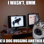 Porn Dog | I WASN'T, UMM; LOOK! A DOG HUGGING ANOTHER DOG! | image tagged in porn dog | made w/ Imgflip meme maker