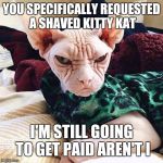 back page fail | YOU SPECIFICALLY REQUESTED A SHAVED KITTY KAT; I'M STILL GOING TO GET PAID AREN'T I | image tagged in back in my day cat | made w/ Imgflip meme maker
