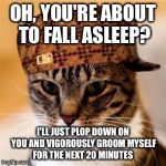 Scumbag Cat | OH, YOU'RE ABOUT TO FALL ASLEEP? I'LL JUST PLOP DOWN ON YOU AND VIGOROUSLY GROOM MYSELF FOR THE NEXT 20 MINUTES | image tagged in scumbag cat | made w/ Imgflip meme maker