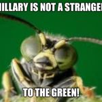 MR GREEN BUG | HILLARY IS NOT A STRANGER; TO THE GREEN! | image tagged in mr green bug | made w/ Imgflip meme maker