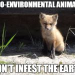 camping | PRO-ENVIRONMENTAL ANIMALS; DON'T INFEST THE EARTH | image tagged in camping | made w/ Imgflip meme maker