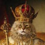 King cat