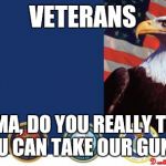 Veterans  | VETERANS; OBAMA, DO YOU REALLY THINK YOU CAN TAKE OUR GUNS? | image tagged in veterans | made w/ Imgflip meme maker