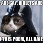 Grumpy Cat Star Wars | ROSES ARE GAY, VIOLETS ARE GAYER; SCREW THIS POEM, ALL HAIL VADER | image tagged in memes,grumpy cat star wars,grumpy cat | made w/ Imgflip meme maker