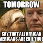 Political advice sloth | TOMORROW; SAY THAT ALL AFRICAN AMERICANS ARE EVIL THUGS | image tagged in political advice sloth | made w/ Imgflip meme maker
