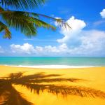 Paradise