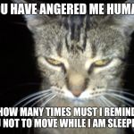 Angry Tabby Cat | YOU HAVE ANGERED ME HUMAN, HOW MANY TIMES MUST I REMIND YOU NOT TO MOVE WHILE I AM SLEEPING? | image tagged in angry tabby cat | made w/ Imgflip meme maker