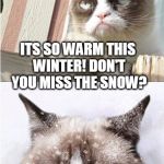 Grumpy Cat Toronto | ITS SO WARM THIS WINTER!
DON'T YOU MISS THE SNOW? | image tagged in grumpy cat toronto | made w/ Imgflip meme maker