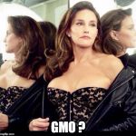 Caitlyn jenner | GMO ? | image tagged in caitlyn jenner | made w/ Imgflip meme maker
