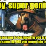 Learn how to merge in to traffic | Hey, super genius; The on ramp is designed for you to get up to speed BEFORE you merge into traffic | image tagged in learn how to merge,dog,dogs,driving | made w/ Imgflip meme maker