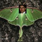 Andrew De Luna Moth