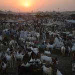 Muslum black market sex trading Flee Market