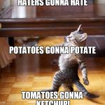 My philosophy on life | HATERS GONNA HATE; POTATOES GONNA POTATE; TOMATOES GONNA KETCHUP! | image tagged in haters gonna hate,haters,funny,clever,bad puns | made w/ Imgflip meme maker