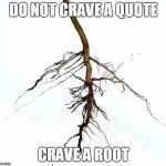 root | DO NOT CRAVE A QUOTE; CRAVE A ROOT | image tagged in root | made w/ Imgflip meme maker