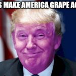 full of grapists & murderers | LET'S MAKE AMERICA GRAPE AGAIN | image tagged in grape trump | made w/ Imgflip meme maker