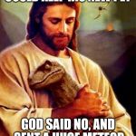 Jesus Dinosaur | JESUS ASKED GOD IF HE COULD KEEP HIS NEW PET; GOD SAID NO, AND SENT A HUGE METEOR TO WIPE THEM ALL OUT | image tagged in jesus dinosaur | made w/ Imgflip meme maker