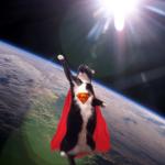 Super Cat