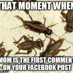 crickets, mom on facebook | THAT MOMENT WHEN; MOM IS THE FIRST COMMENT ON YOUR FACEBOOK POST | image tagged in crickets,facebook,privacy settings,friend screen,mom on facebook,awkward | made w/ Imgflip meme maker