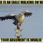 Jesus Eagle | THERE IS AN EAGLE WALKING ON WATER; YOUR ARGUMENT IS INVALID | image tagged in jesus eagle,funny,memes,eagle,water,america | made w/ Imgflip meme maker