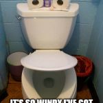 Im a toilet | IT'S SO WINDY I'VE GOT WHITECAPS IN MY TOILET! | image tagged in im a toilet | made w/ Imgflip meme maker
