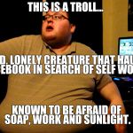 Trollbait | THIS IS A TROLL... A SAD, LONELY CREATURE THAT HAUNTS FACEBOOK IN SEARCH OF SELF WORTH; KNOWN TO BE AFRAID OF SOAP, WORK AND SUNLIGHT. | image tagged in trollbait | made w/ Imgflip meme maker