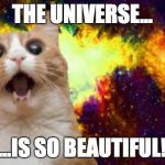 I made this months ago, and I have no Idea why I didn't post it... | THE UNIVERSE... ...IS SO BEAUTIFUL! | image tagged in cats,universe | made w/ Imgflip meme maker