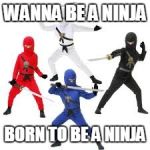 ninga | WANNA BE A NINJA; BORN TO BE A NINJA | image tagged in ninga | made w/ Imgflip meme maker