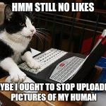  cat-astrophic over uploading of cute pet photos | HMM STILL NO LIKES; MAYBE I OUGHT TO STOP UPLOADING PICTURES OF MY HUMAN | image tagged in cat laptop,funny memes,social media,crazy cat lady | made w/ Imgflip meme maker