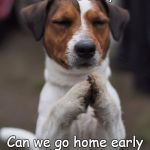 praying dog | Dear Boss, Can we go home early today?  Please! | image tagged in praying dog | made w/ Imgflip meme maker
