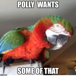 Polly | POLLY  WANTS; SOME OF THAT | image tagged in polly | made w/ Imgflip meme maker