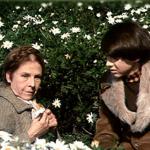 Harold and Maude with Daises, Pensive meme