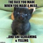 The face you made.. | THE FACE YOU MADE WHEN YOU MADE A MESS... ...AND SHE SCREAMING & YELLING | image tagged in the face you made when you have made a mess and she start scream,screaming,yelling,funny,kitten | made w/ Imgflip meme maker
