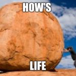 Struggle | HOW'S; LIFE | image tagged in struggle | made w/ Imgflip meme maker